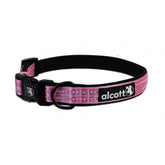 Adventure Collar - Small